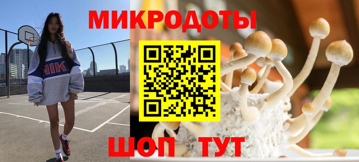 Галлюциногенные грибы Psilocybine cubensis  Вход с VPN  Чехов 