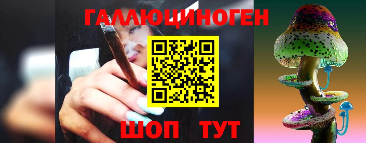 Псилоцибиновые грибы прущие грибы Чехов
